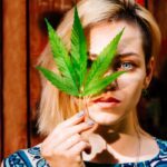 How to Get Your Medical Marijuana Card in Michigan: A Step-by-Step Guide